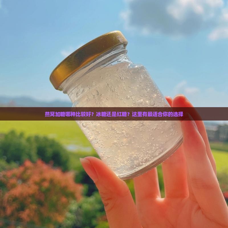 燕窝加糖哪种比较好？冰糖还是红糖？这里有最适合你的选择