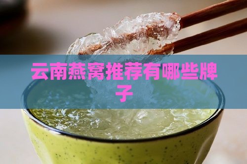 云南燕窝推荐有哪些牌子
