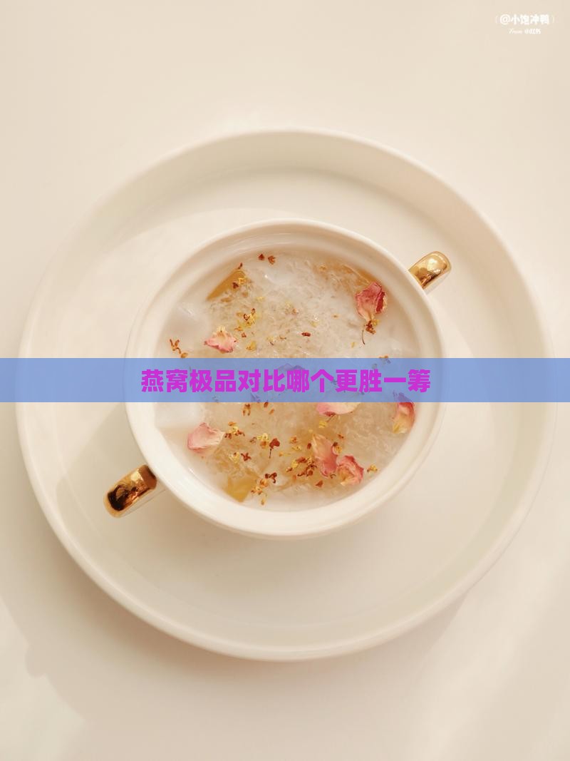 燕窝极品对比哪个更胜一筹