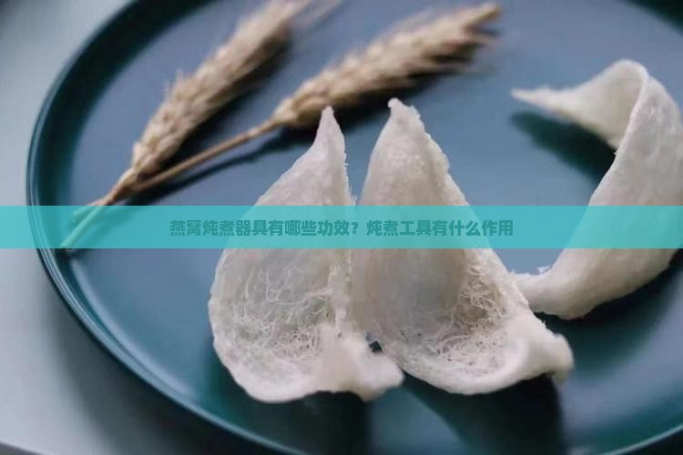 燕窝炖煮器具有哪些功效？炖煮工具有什么作用