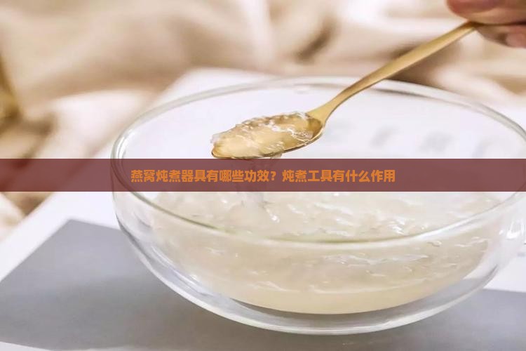 燕窝炖煮器具有哪些功效？炖煮工具有什么作用