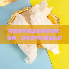 燕窝销售保证金完整指南：费用、条件及申请流程解析