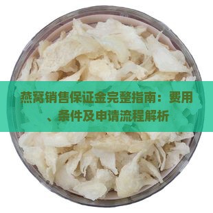 燕窝销售保证金完整指南：费用、条件及申请流程解析