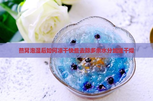 燕窝泡湿后如何凉干快些去除多余水分加速干燥