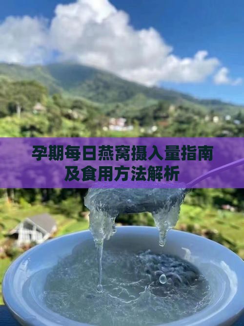 孕期每日燕窝摄入量指南及食用方法解析