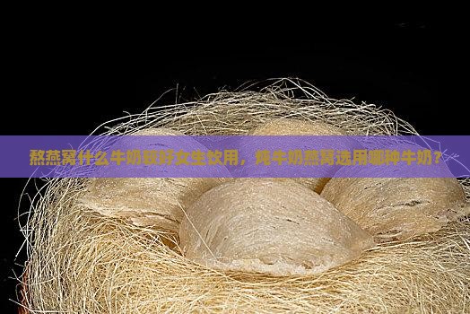 熬燕窝什么牛奶较好女生饮用，炖牛奶燕窝选用哪种牛奶？