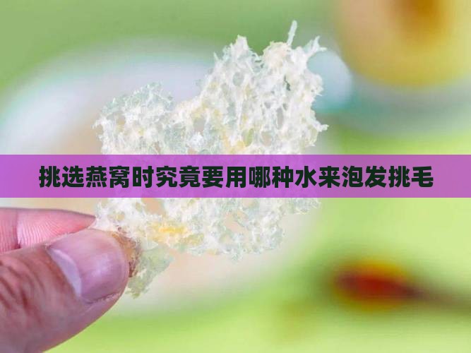 挑选燕窝时究竟要用哪种水来泡发挑毛