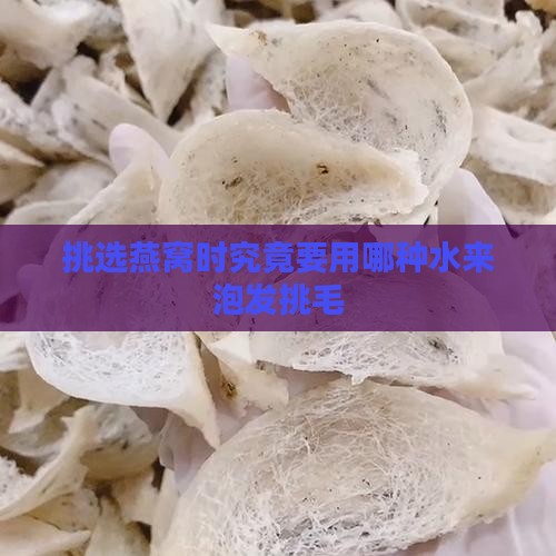 挑选燕窝时究竟要用哪种水来泡发挑毛
