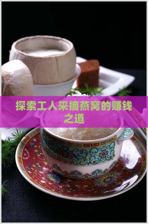 探索工人采摘燕窝的赚钱之道