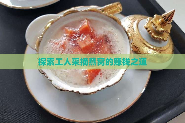 探索工人采摘燕窝的赚钱之道