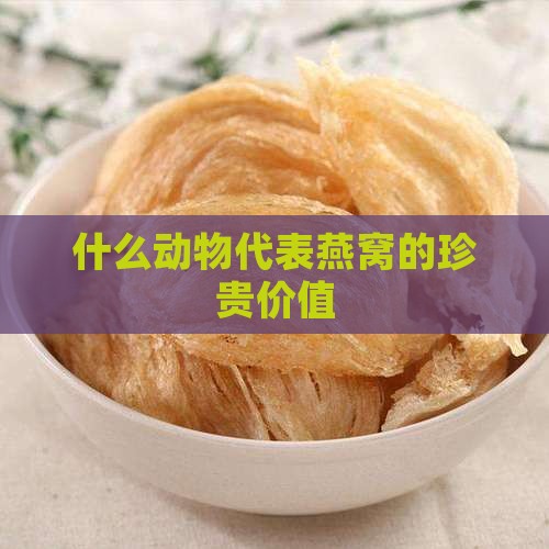 什么动物代表燕窝的珍贵价值