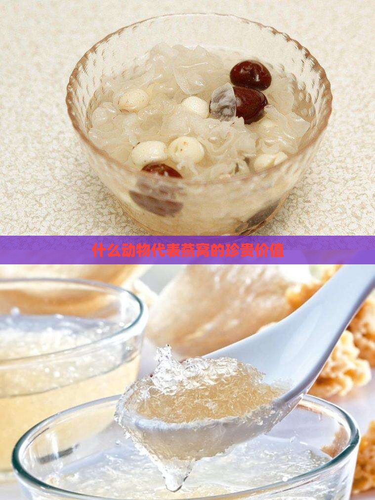 什么动物代表燕窝的珍贵价值