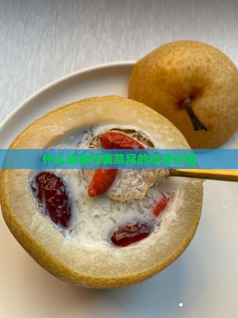 什么动物代表燕窝的珍贵价值