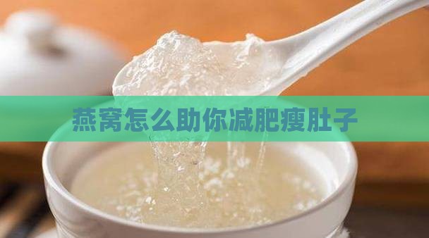 燕窝怎么助你减肥瘦肚子