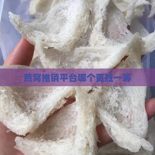 燕窝推销平台哪个更胜一筹