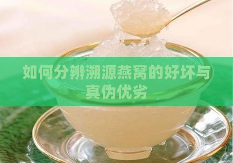如何分辨溯源燕窝的好坏与真伪优劣