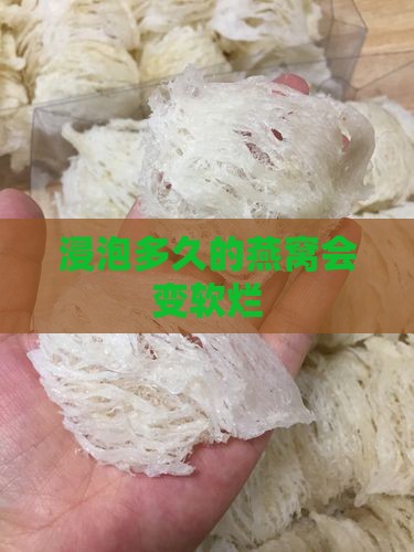 浸泡多久的燕窝会变软烂