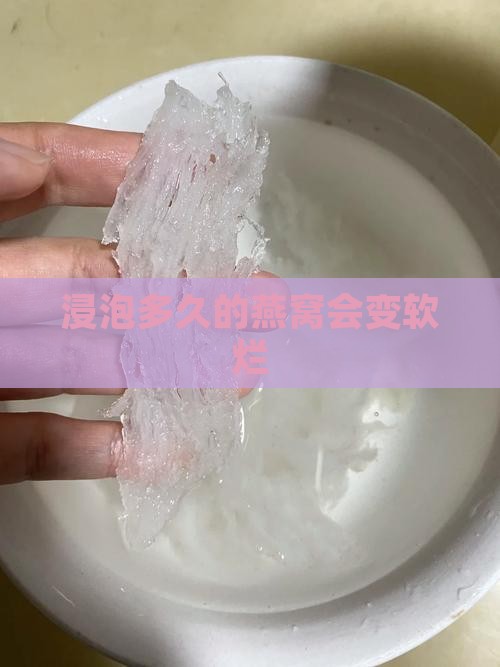 浸泡多久的燕窝会变软烂