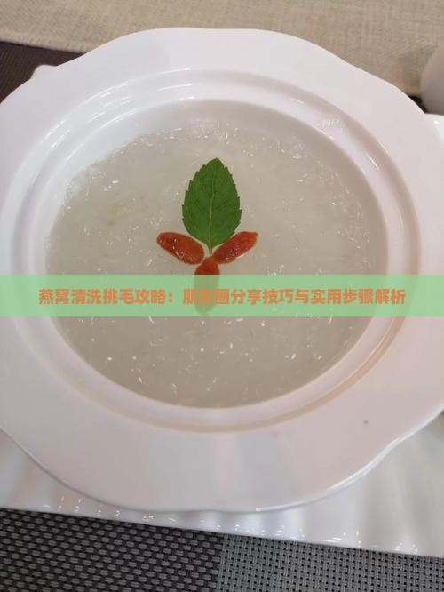燕窝清洗挑毛攻略：朋友圈分享技巧与实用步骤解析