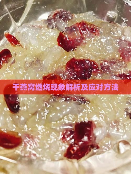 干燕窝燃烧现象解析及应对方法