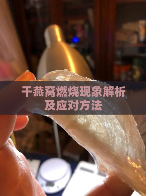 干燕窝燃烧现象解析及应对方法