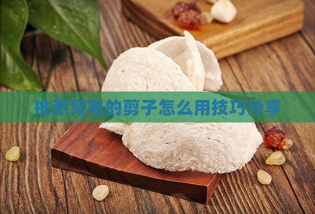 挑燕窝毛的剪子怎么用技巧分享
