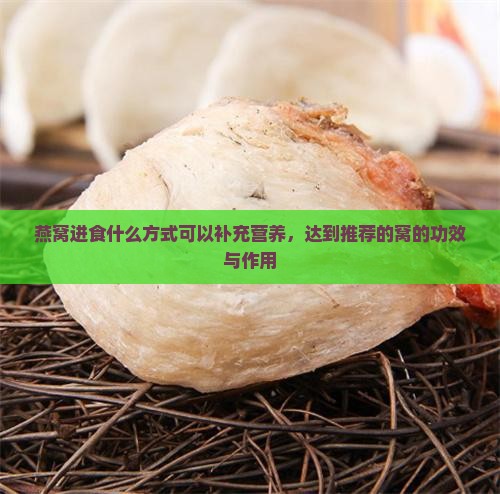 燕窝进食什么方式可以补充营养，达到推荐的窝的功效与作用