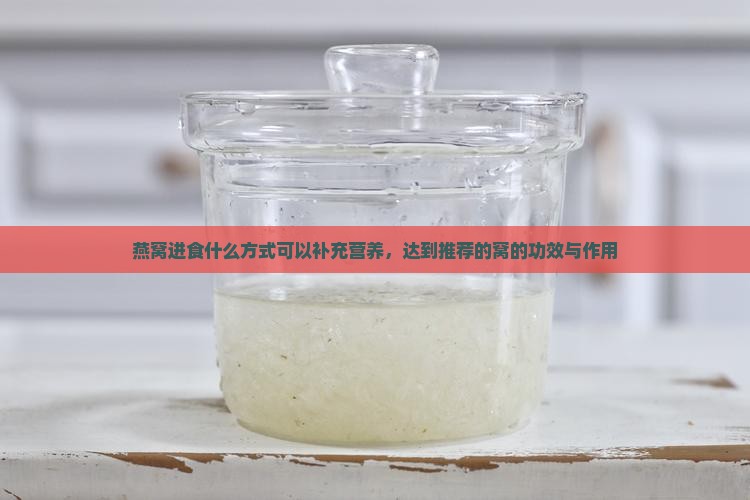 燕窝进食什么方式可以补充营养，达到推荐的窝的功效与作用