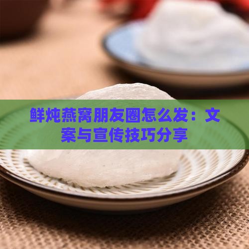 鲜炖燕窝朋友圈怎么发：文案与宣传技巧分享