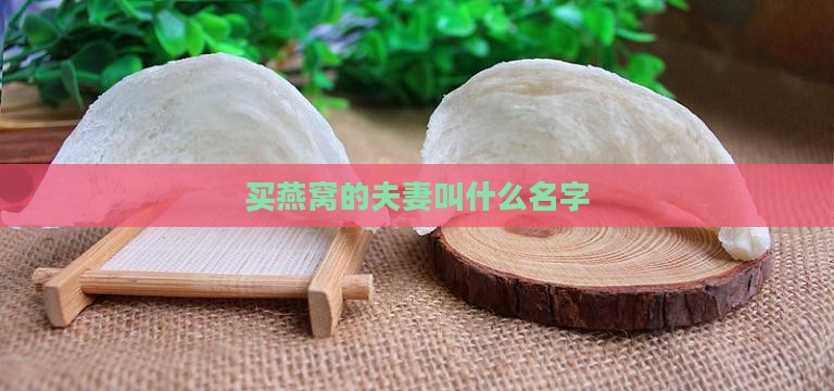买燕窝的夫妻叫什么名字