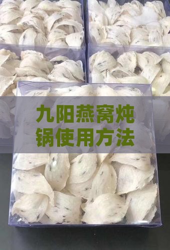 九阳燕窝炖锅使用方法及炖煮步骤详解