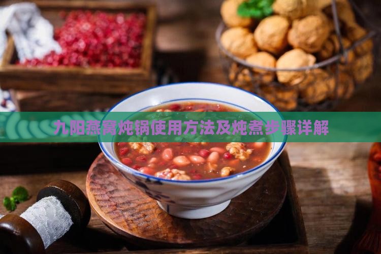 九阳燕窝炖锅使用方法及炖煮步骤详解
