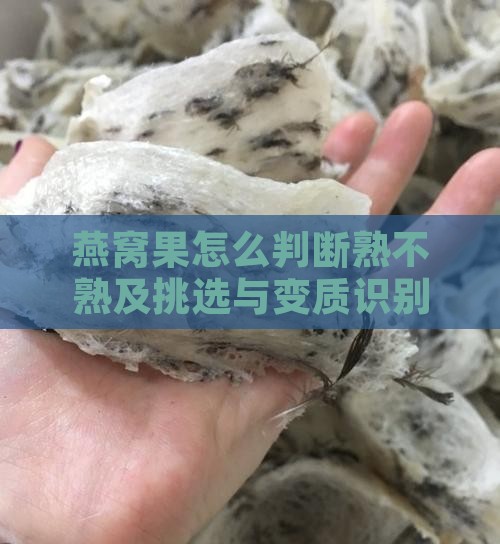 燕窝果怎么判断熟不熟及挑选与变质识别方法