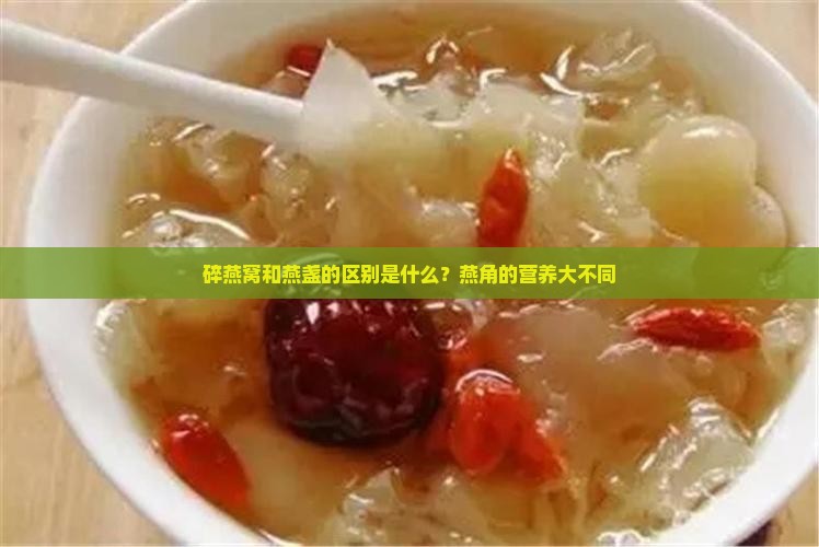 碎燕窝和燕盏的区别是什么？燕角的营养大不同