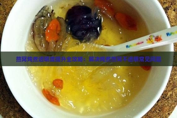燕窝炖煮透明度提升全攻略：解决炖煮燕窝不透明常见问题