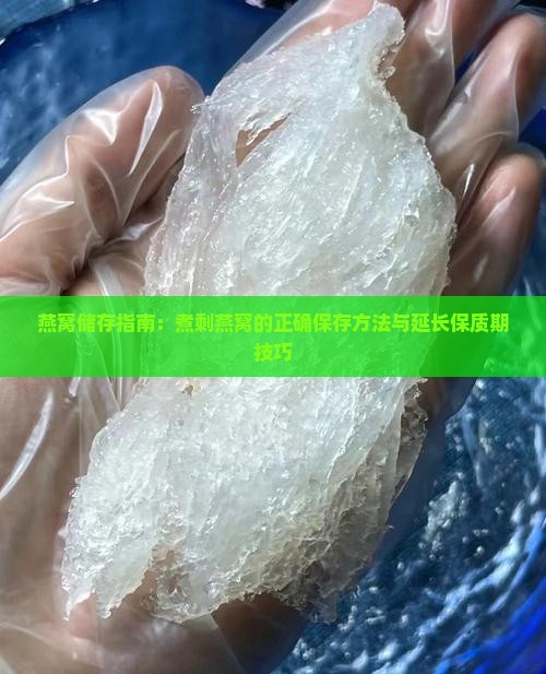 燕窝储存指南：煮剩燕窝的正确保存方法与延长保质期技巧