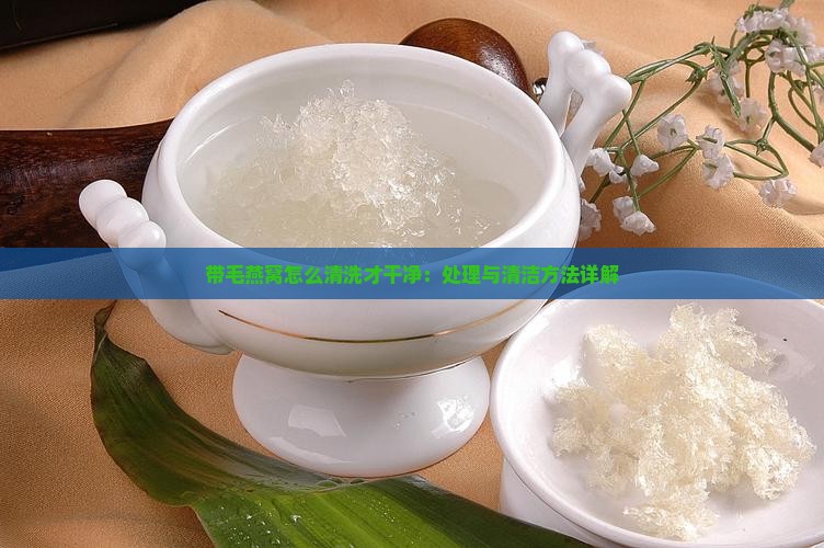 带毛燕窝怎么清洗才干净：处理与清洁方法详解