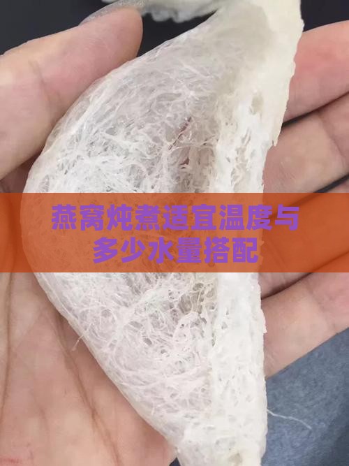 燕窝炖煮适宜温度与多少水量搭配