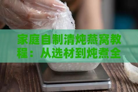 家庭自制清炖燕窝教程：从选材到炖煮全攻略