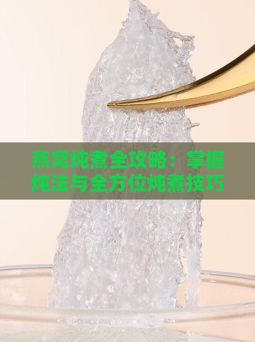 燕窝炖煮全攻略：掌握炖法与全方位炖煮技巧