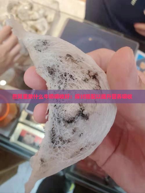 燕窝里放什么牛奶吸收好：探讨搭配以提升营养吸收
