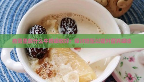燕窝里放什么牛奶吸收好：探讨搭配以提升营养吸收