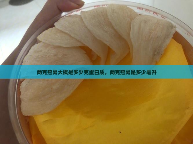 两克燕窝大概是多少克蛋白质，两克燕窝是多少毫升