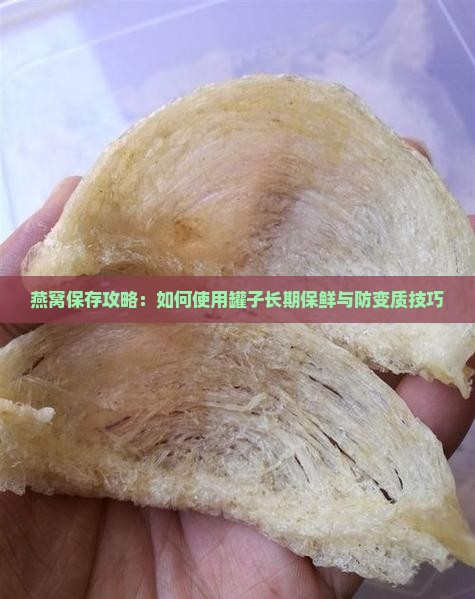 燕窝保存攻略：如何使用罐子长期保鲜与防变质技巧