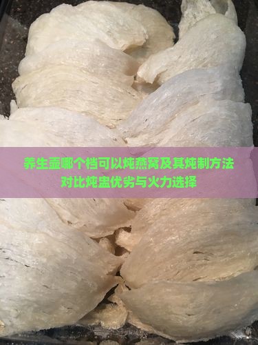 养生壶哪个档可以炖燕窝及其炖制方法对比炖盅优劣与火力选择