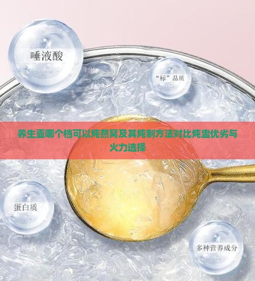 养生壶哪个档可以炖燕窝及其炖制方法对比炖盅优劣与火力选择
