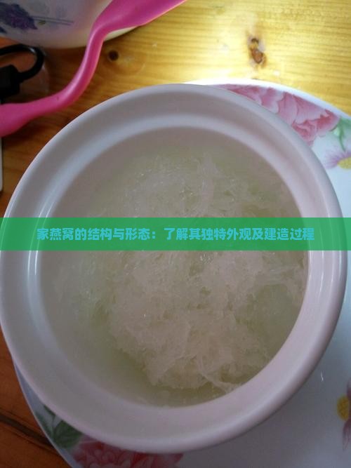 家燕窝的结构与形态：了解其独特外观及建造过程