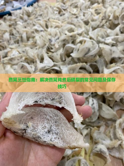燕窝烹饪指南：解决燕窝炖煮后碎裂的常见问题及保存技巧