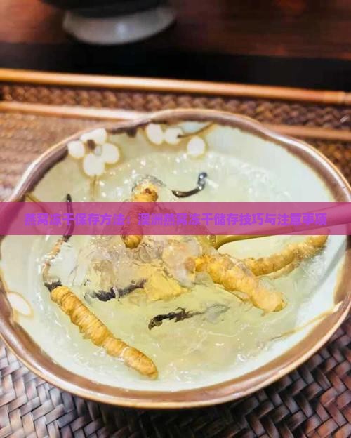 燕窝冻干保存方法：澳洲燕窝冻干储存技巧与注意事项