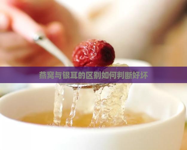 燕窝与银耳的区别如何判断好坏